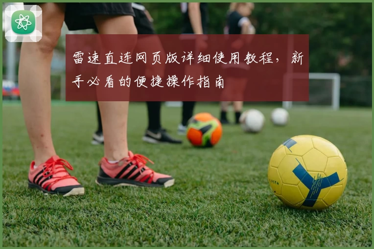 雷速直连网页版详细使用教程,新手必看的便捷操作指南